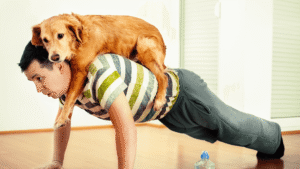 How To Restart Your Fitness Journey (Kris gethin gyms)