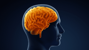 How Going to the Gym Can Improve Your Mental Health (Kris gethin gyms)