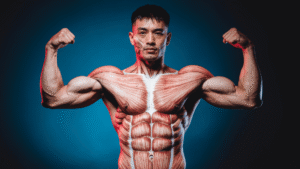 Muscular Strength Testing Methods, Protocols, and Performance Insights (Kris gethin gyms)