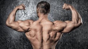 What Is Performance Training? Scientific Methods to Maximize Athletic Results (kris gethin gyms blogs)